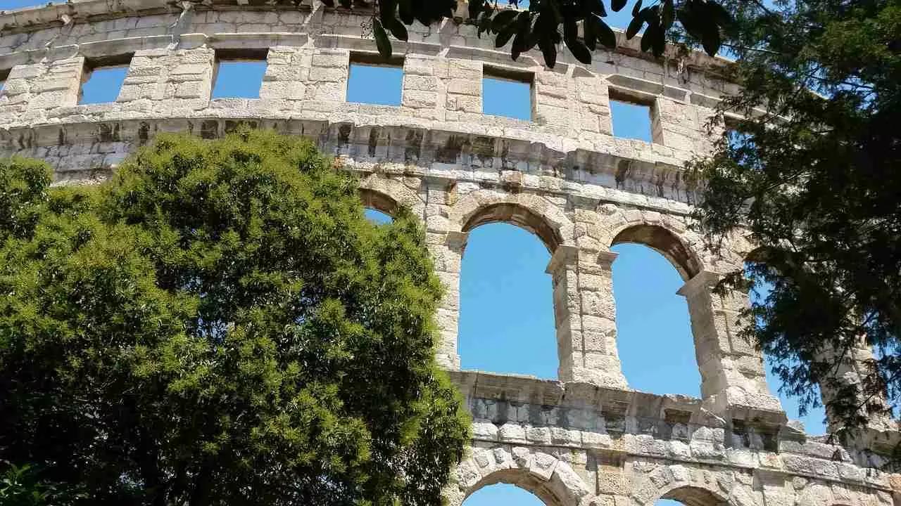 Aprenda latim para conhecer o português