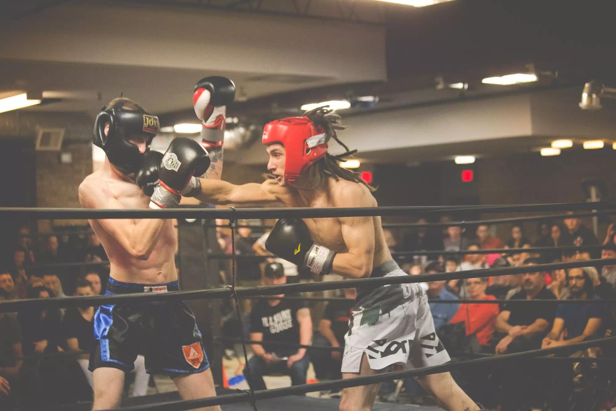como obter resultados no boxe