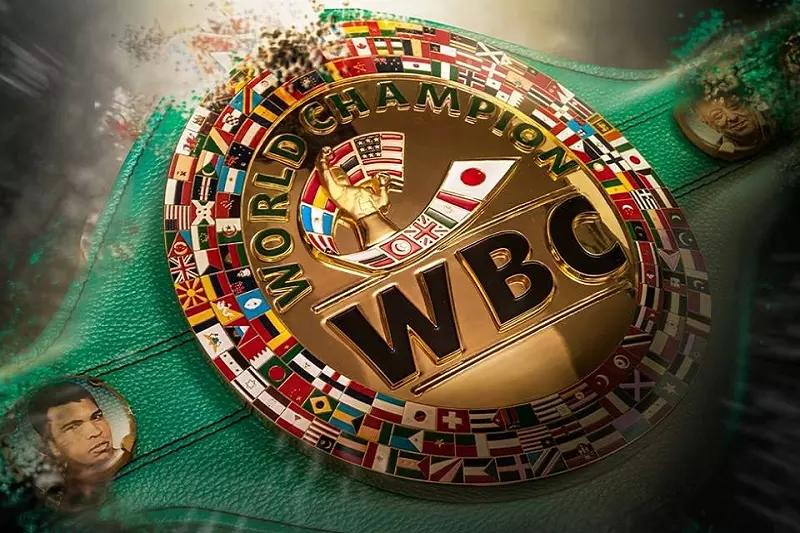 os diferentes tipos de campeonatos de boxe