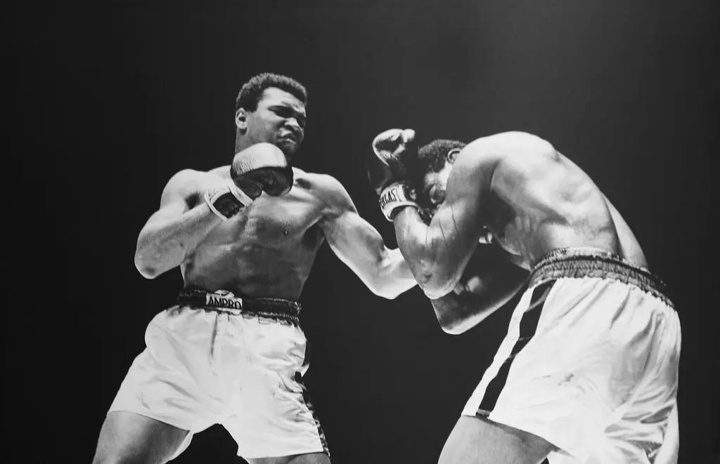as lendas do boxe mundial