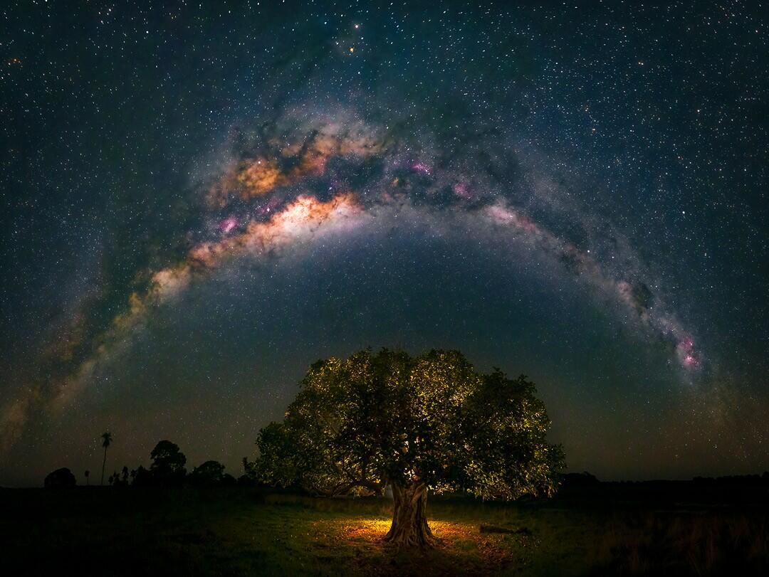 Imagem de um céu e uma árvore super iluminada do fotógrafo Marcio Cabral