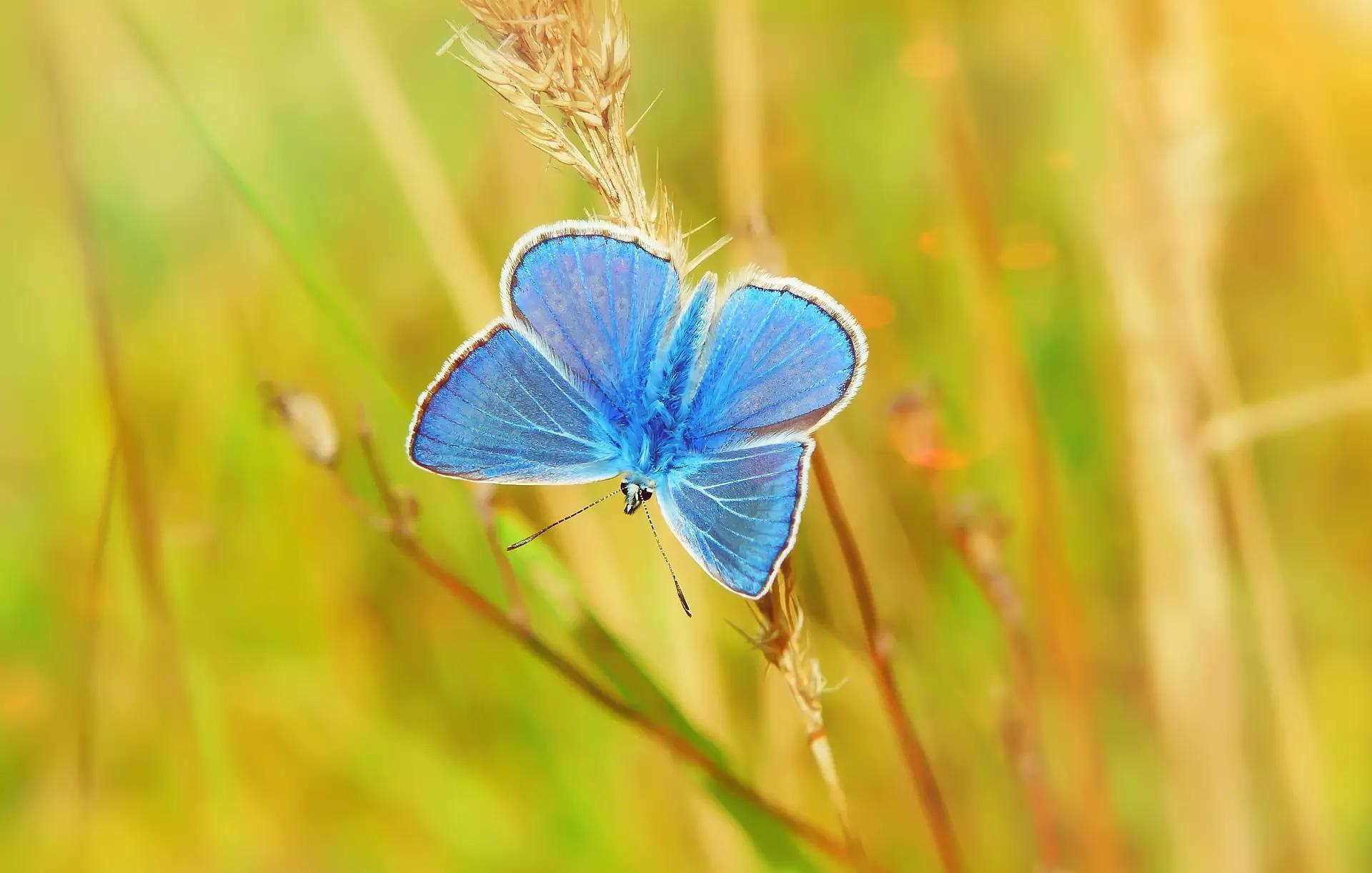 Combo de matérias para estudar!