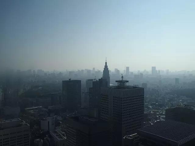 Existe vida em Shinjuku