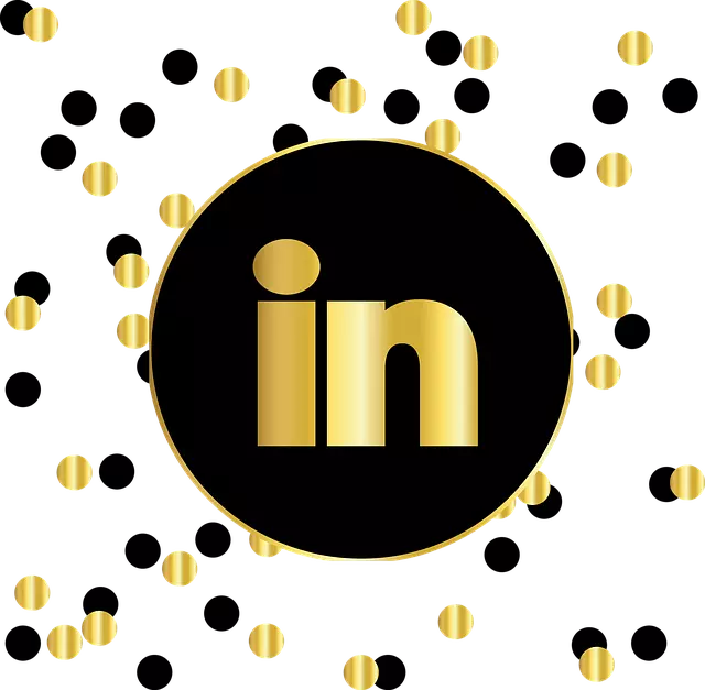 LinkedIn em suas mãos