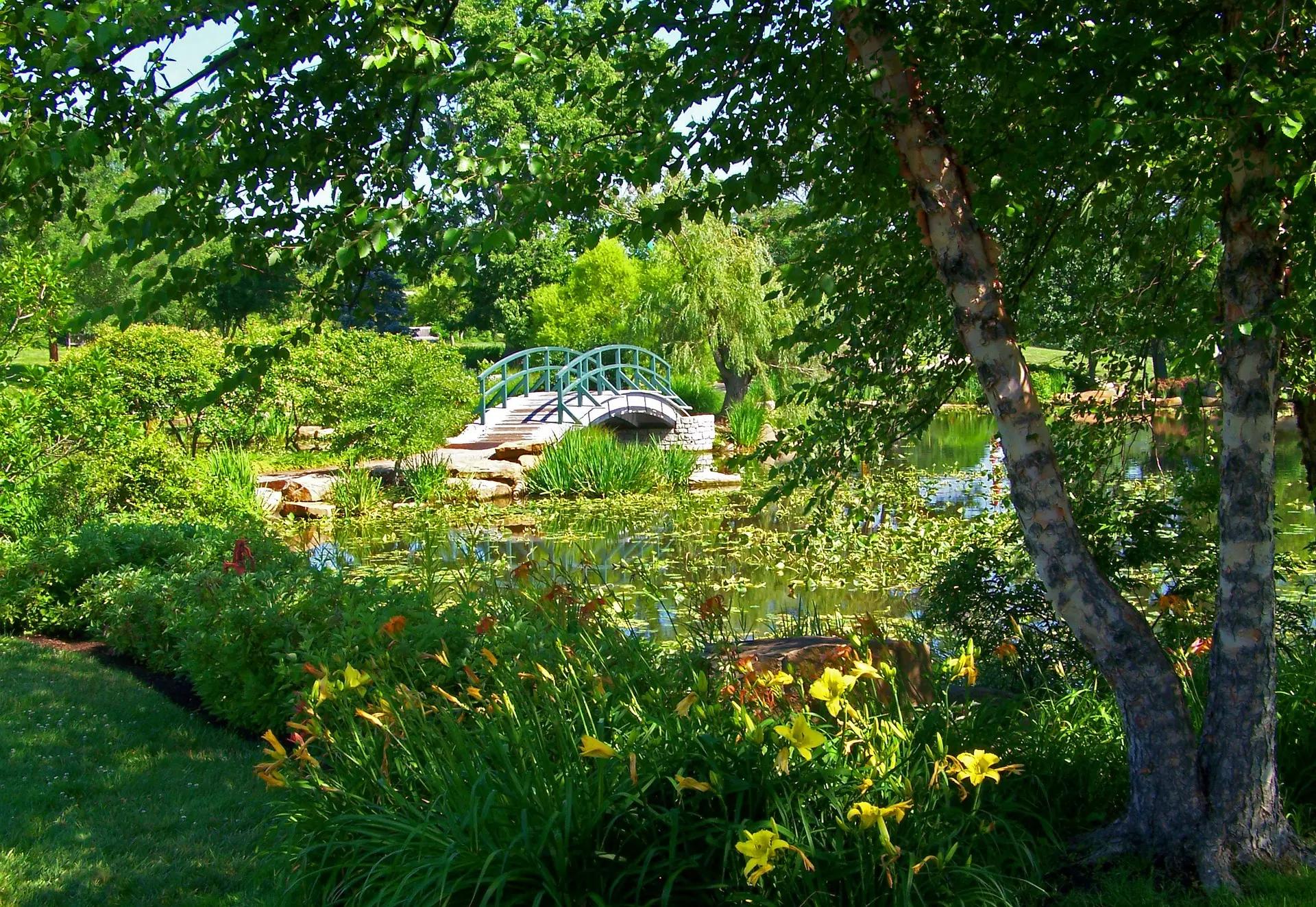 Jardim monet ponte pintura