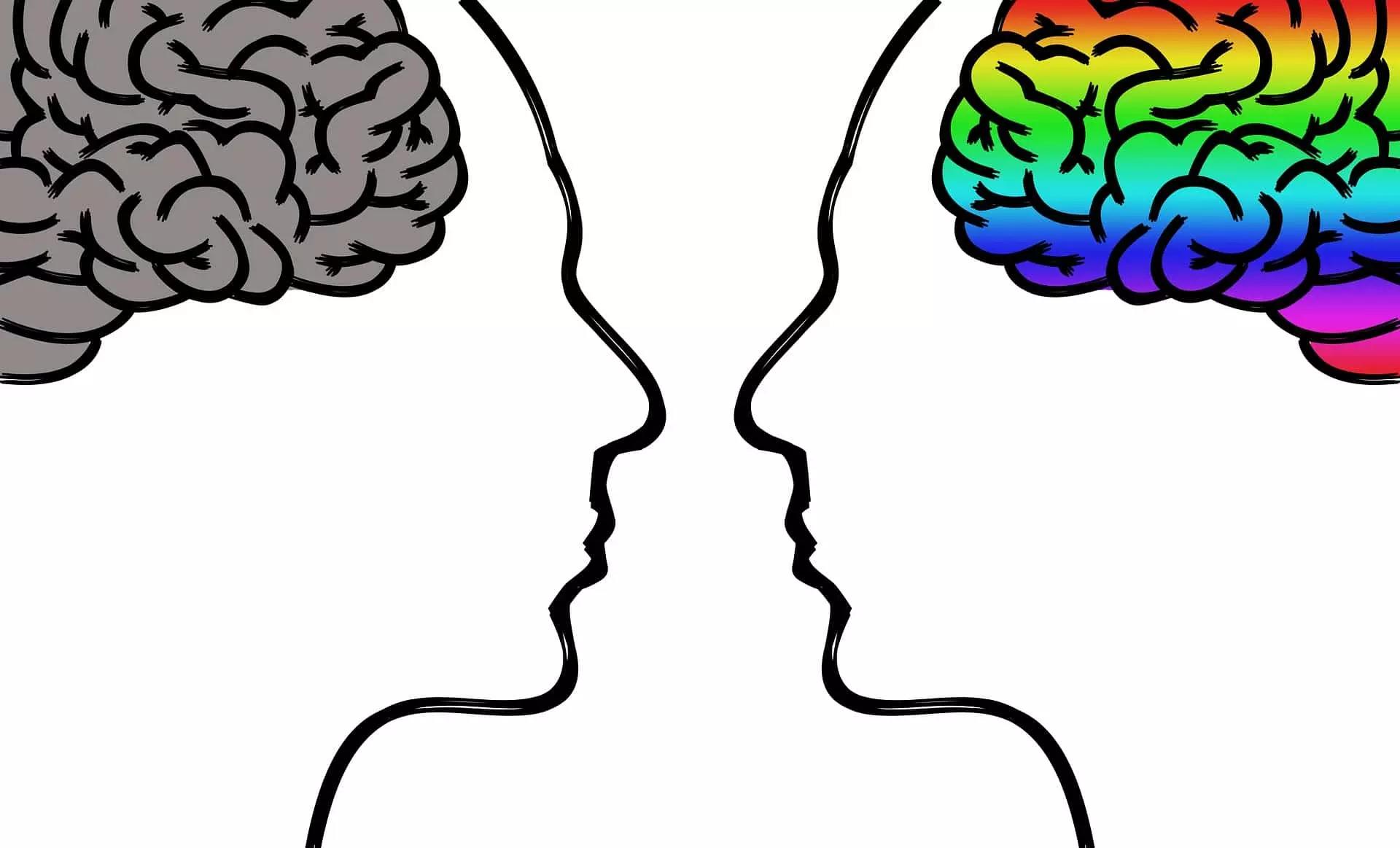 Todas as nossas dicas para aprender física através do lúdico.