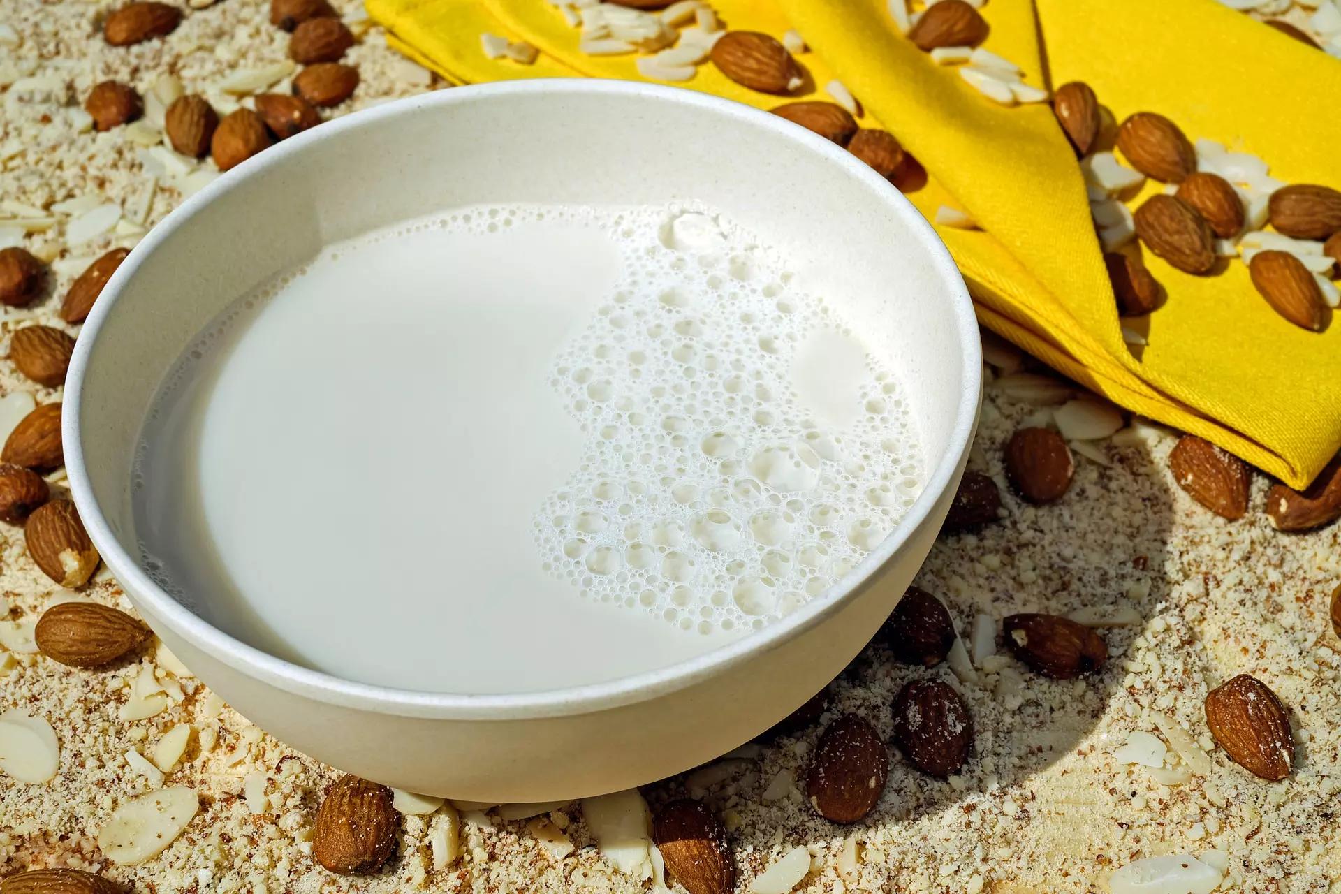 curso culinária vegano leites