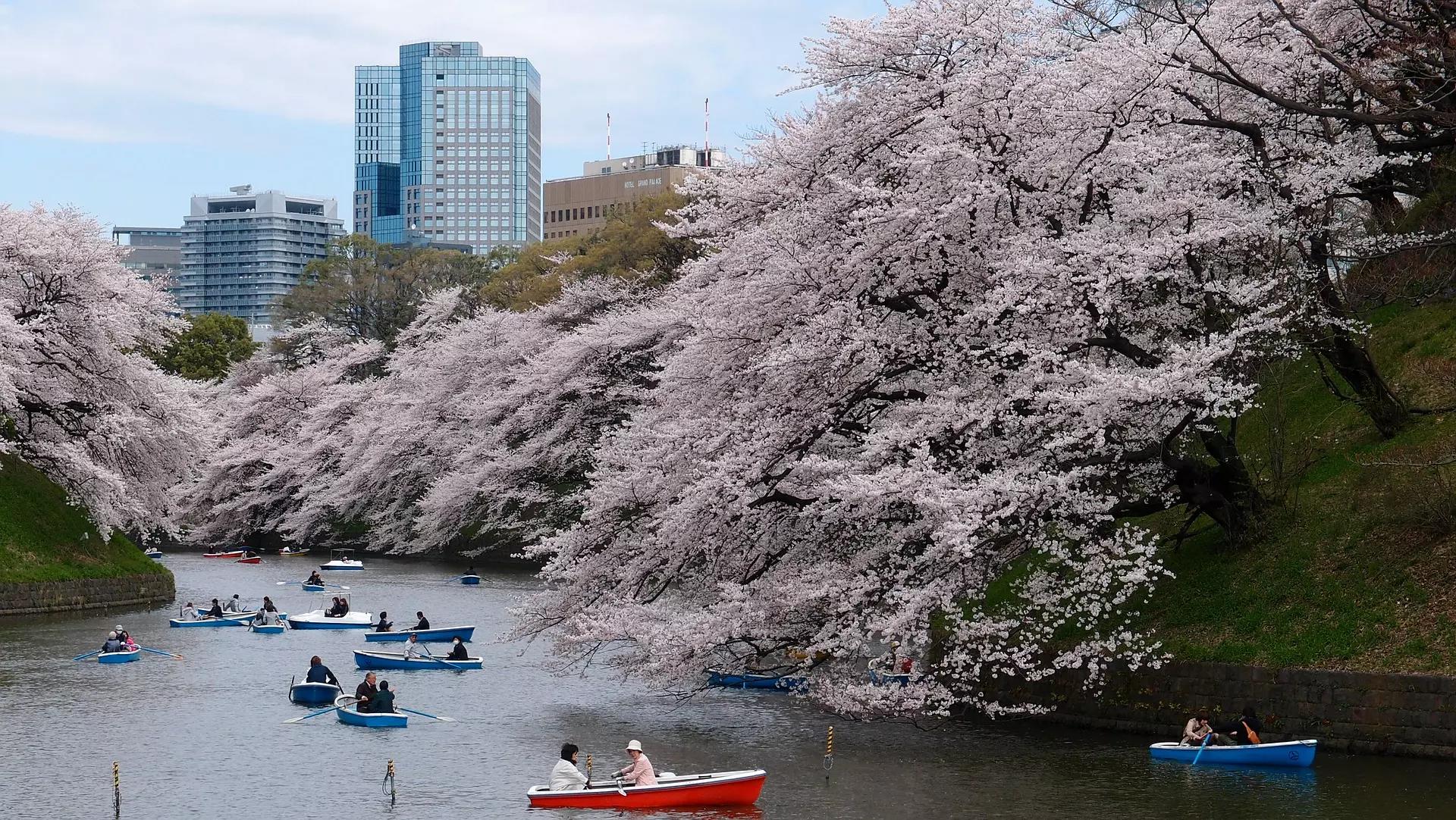 Como falar japonês?