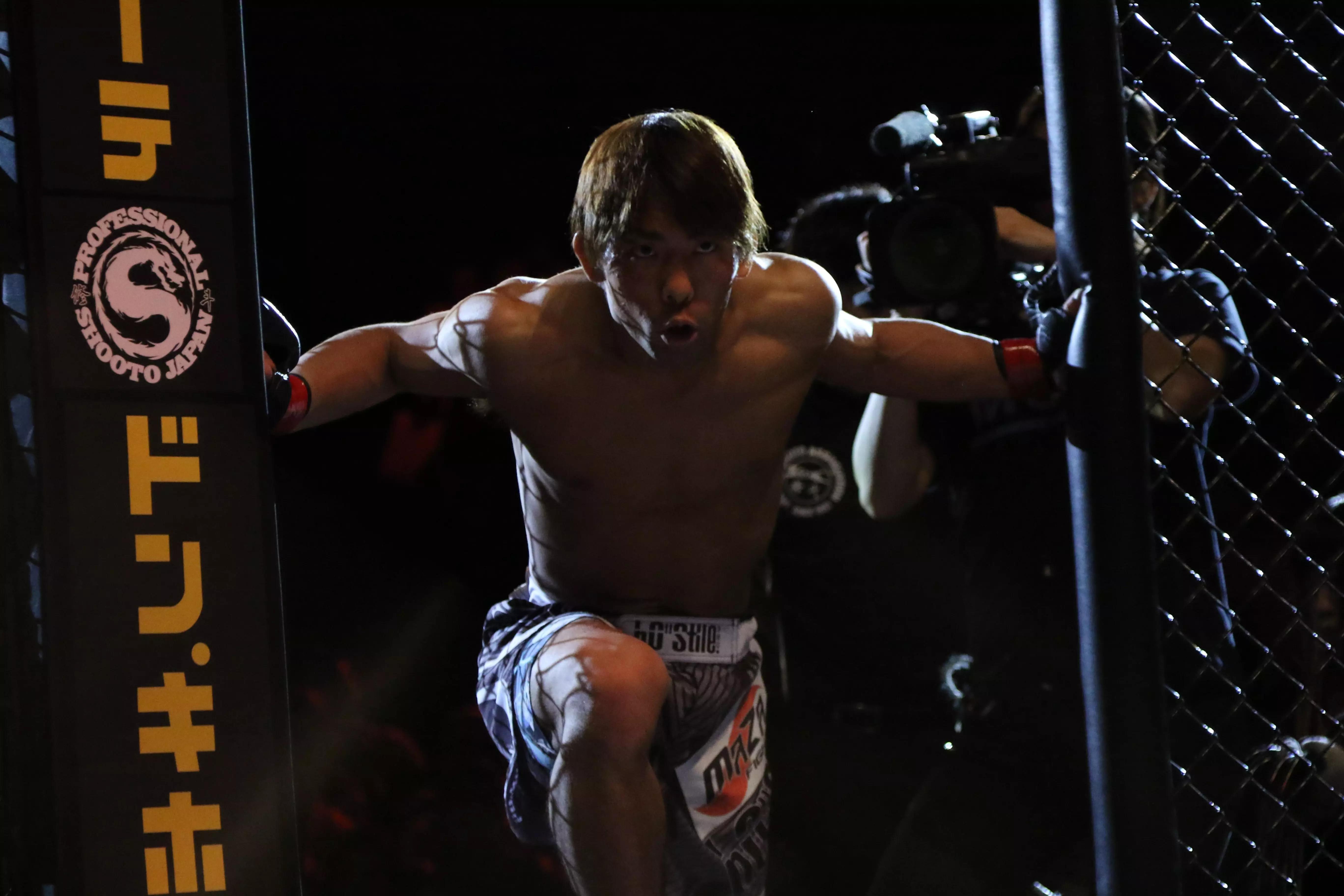 curso de boxe online