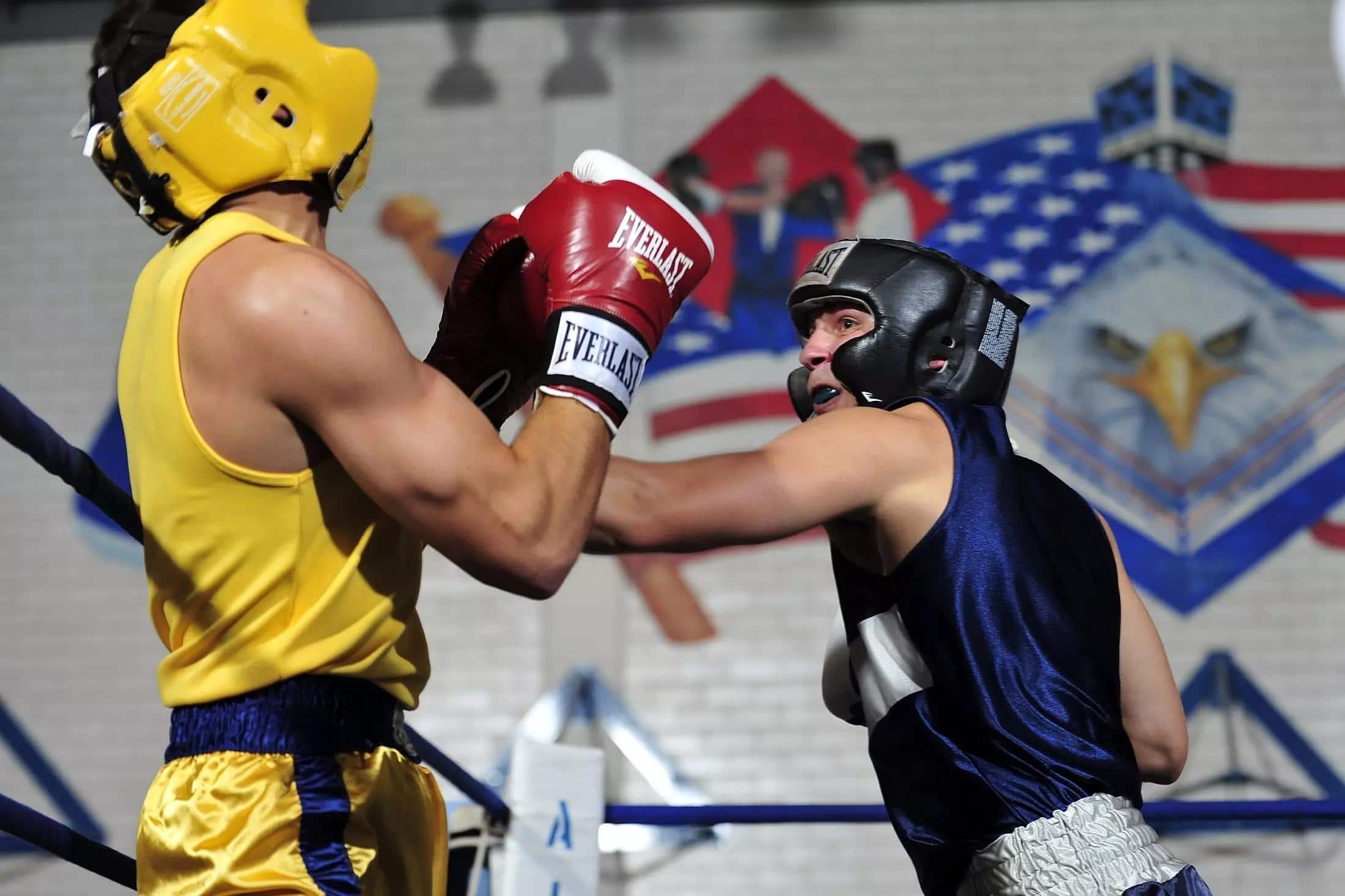 canal de boxe