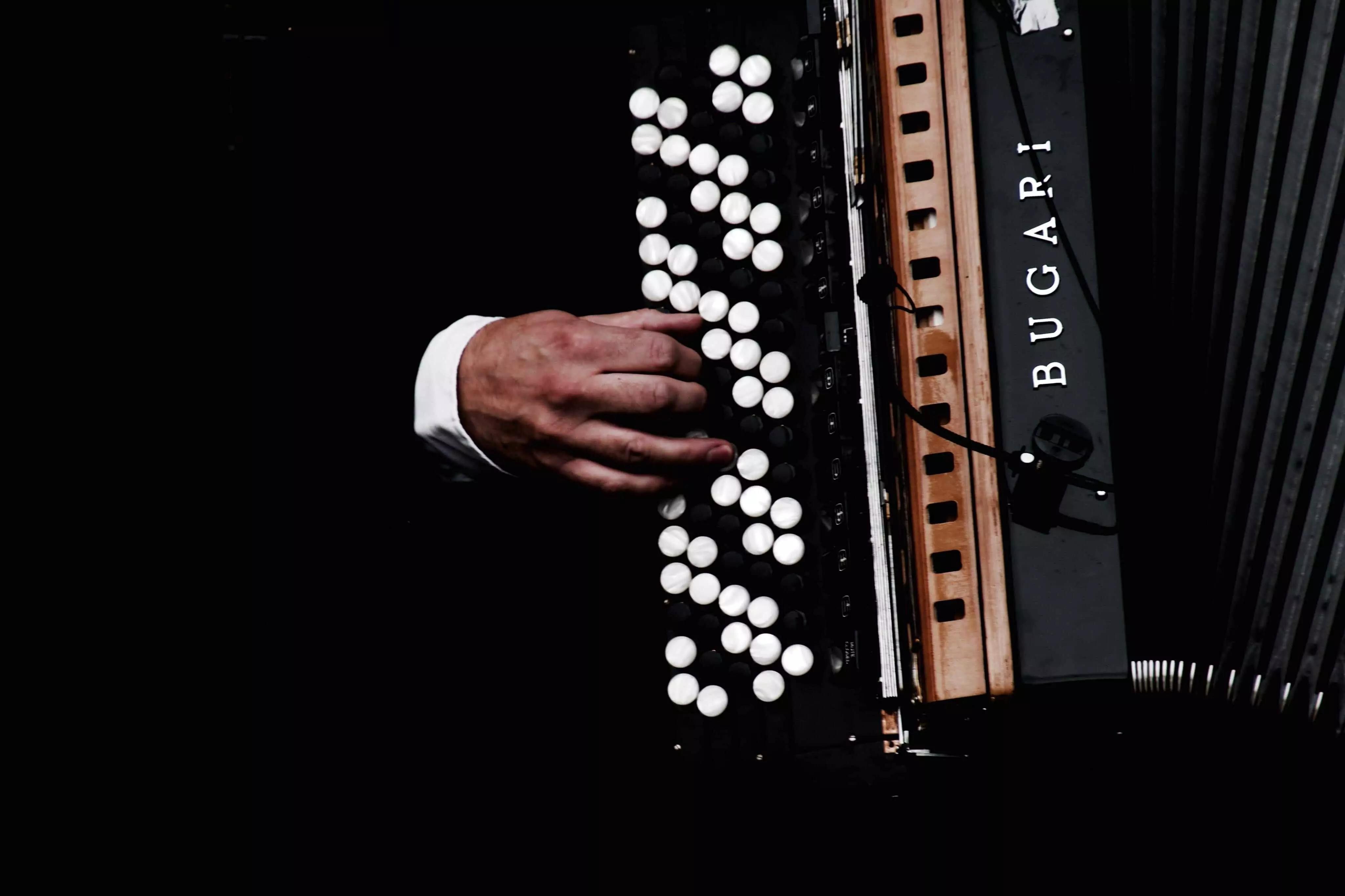 instrumento de forró