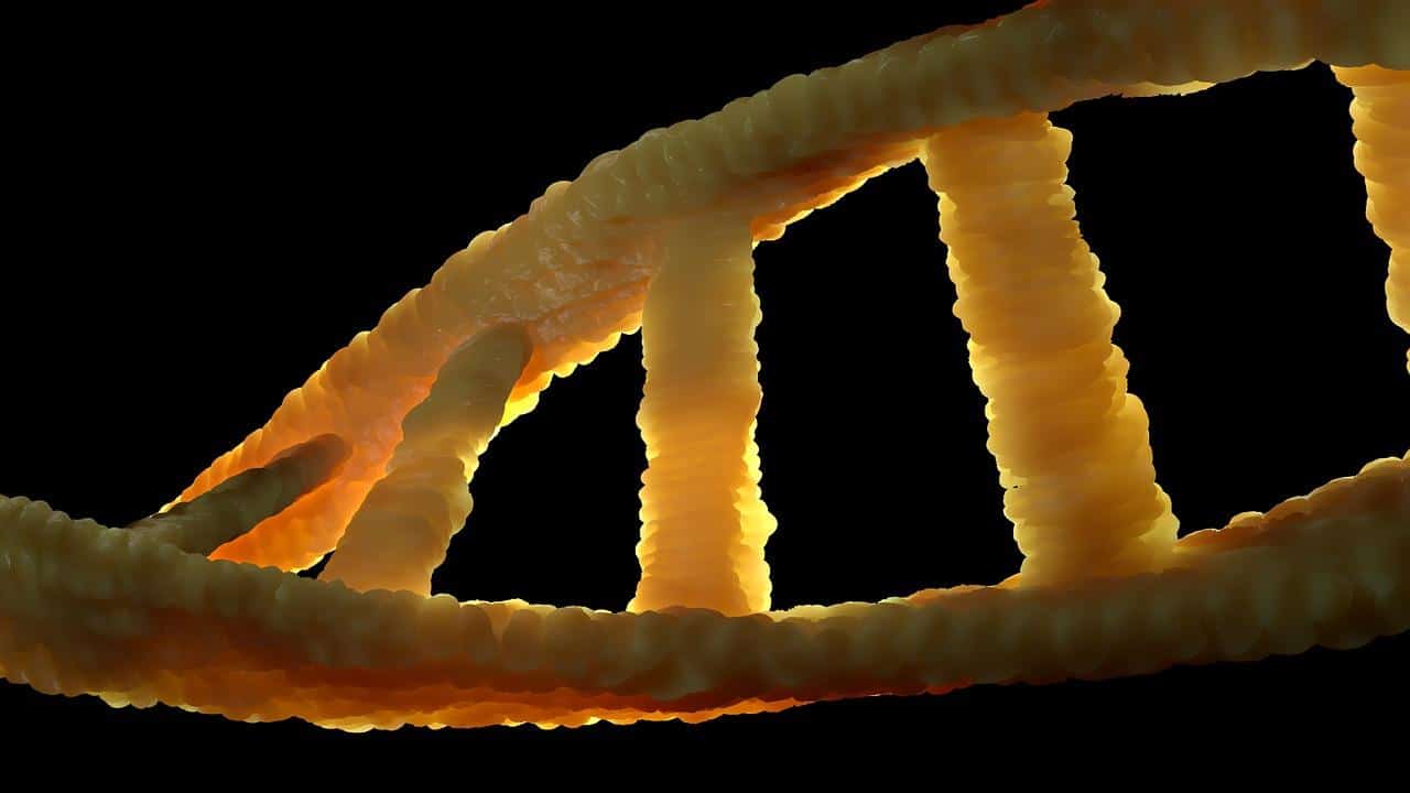 Cadeia DNA