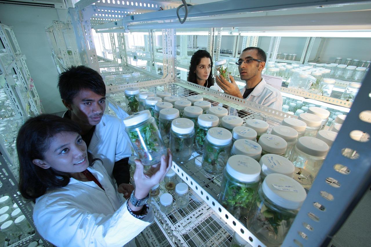 Um grupo de jovens em um laboratório de biologia