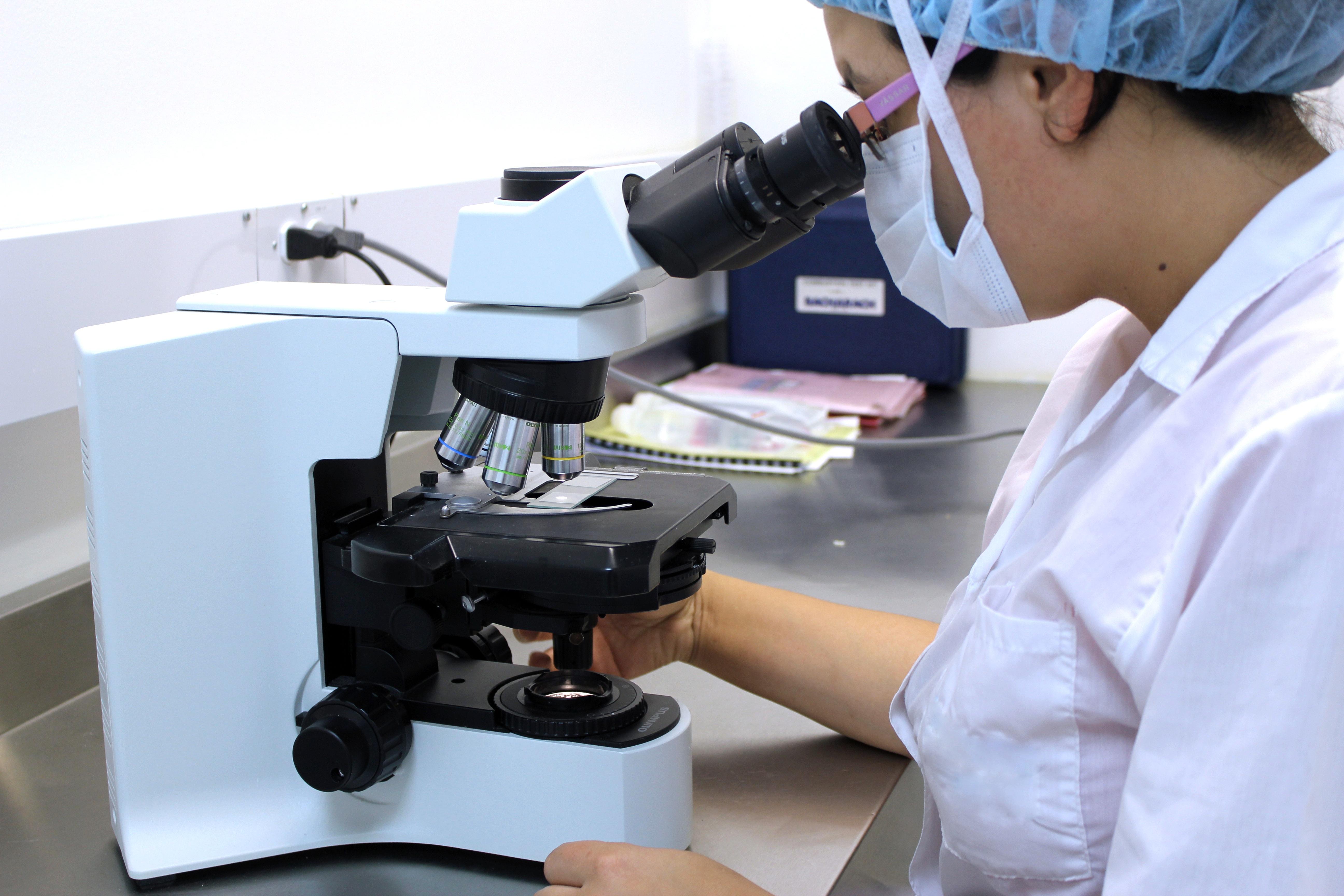 estudo da microbiologia através do microscópio 