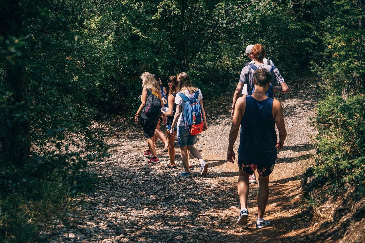 Um grupo de estudantes caminhando na floresta
