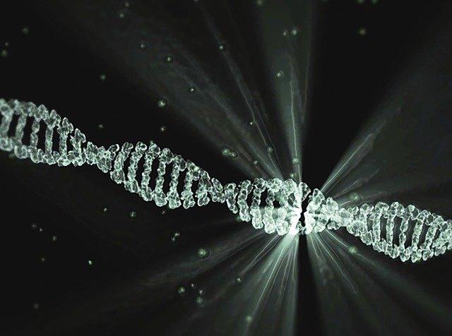 Sequenciamento de dna.