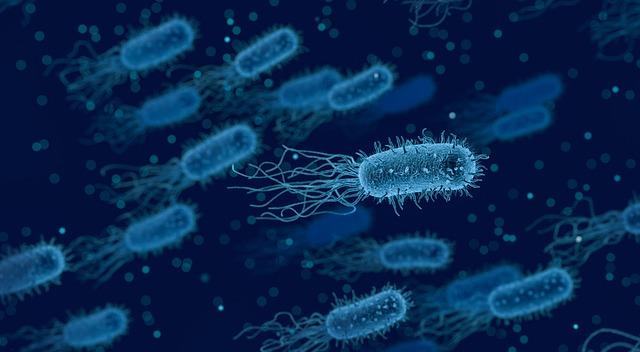 Microbios azuis estudados na microbiologia vistos pelo microscópio.