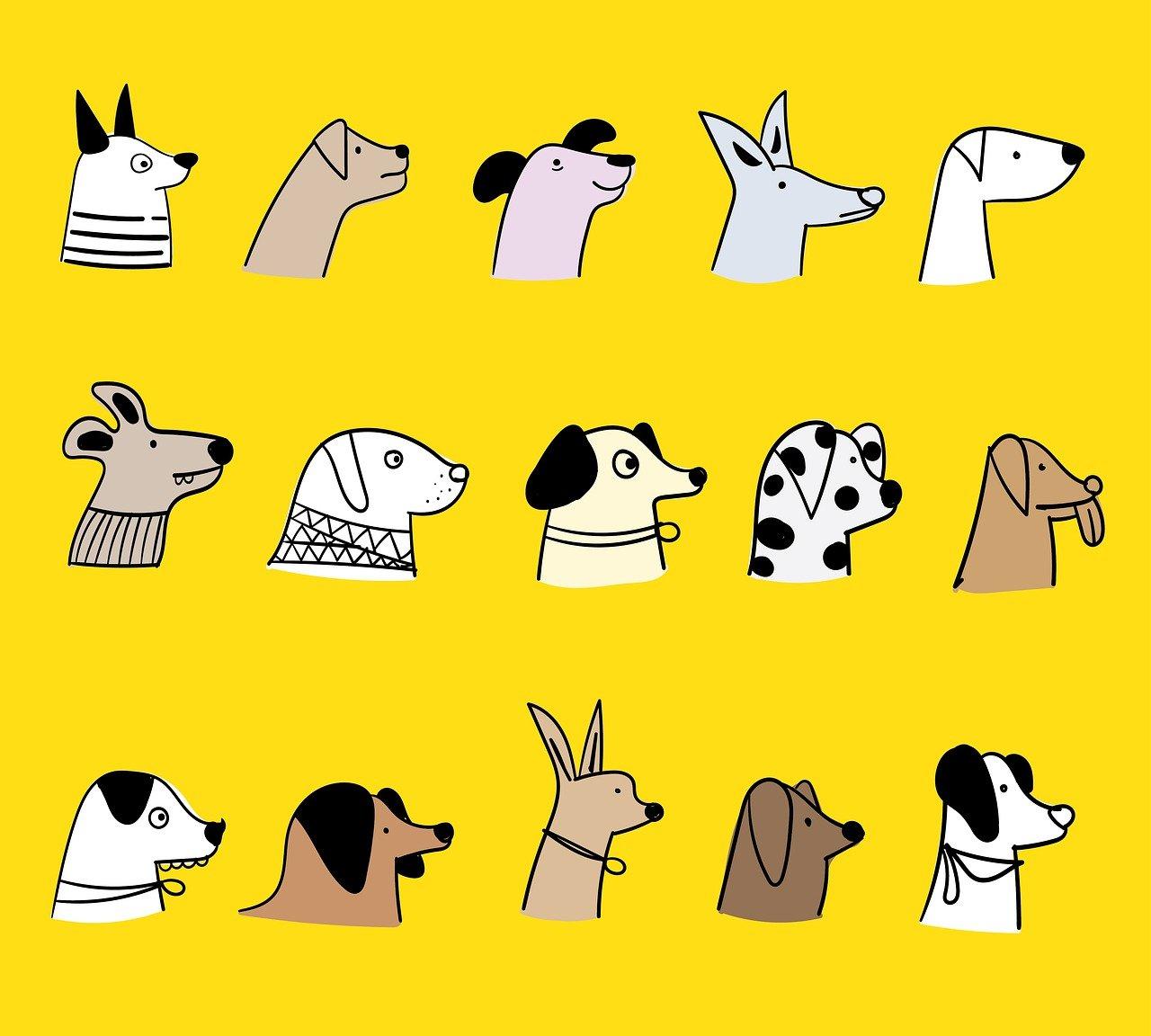 aprender a desenhar cachorro