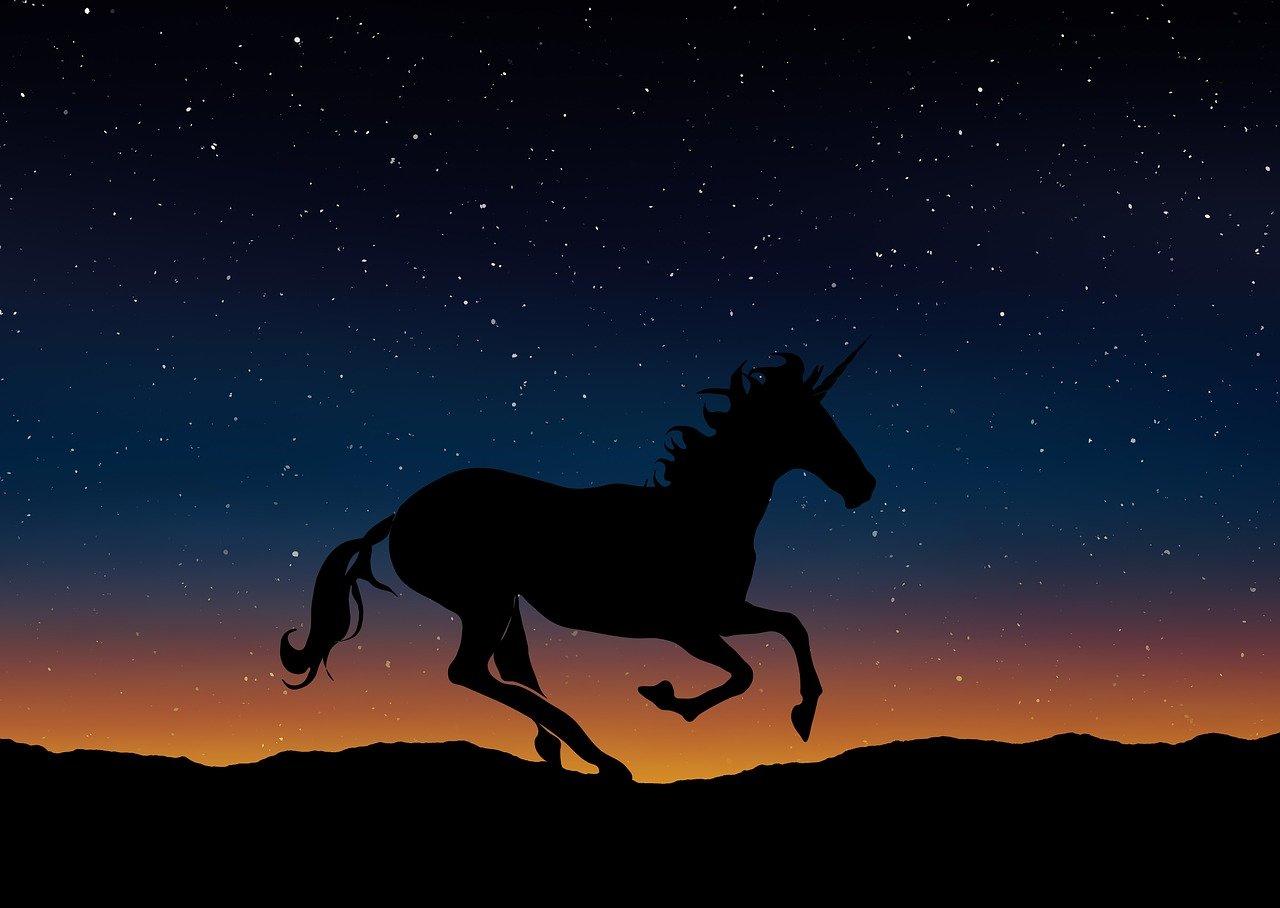 aprendendo a desenhar unicornio