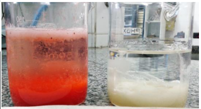 Fruta e detergente para extrair DNA