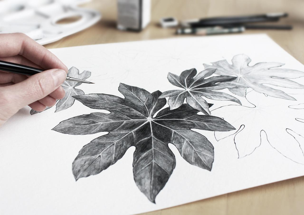 Ua mão desenhando algumas folhas lápis