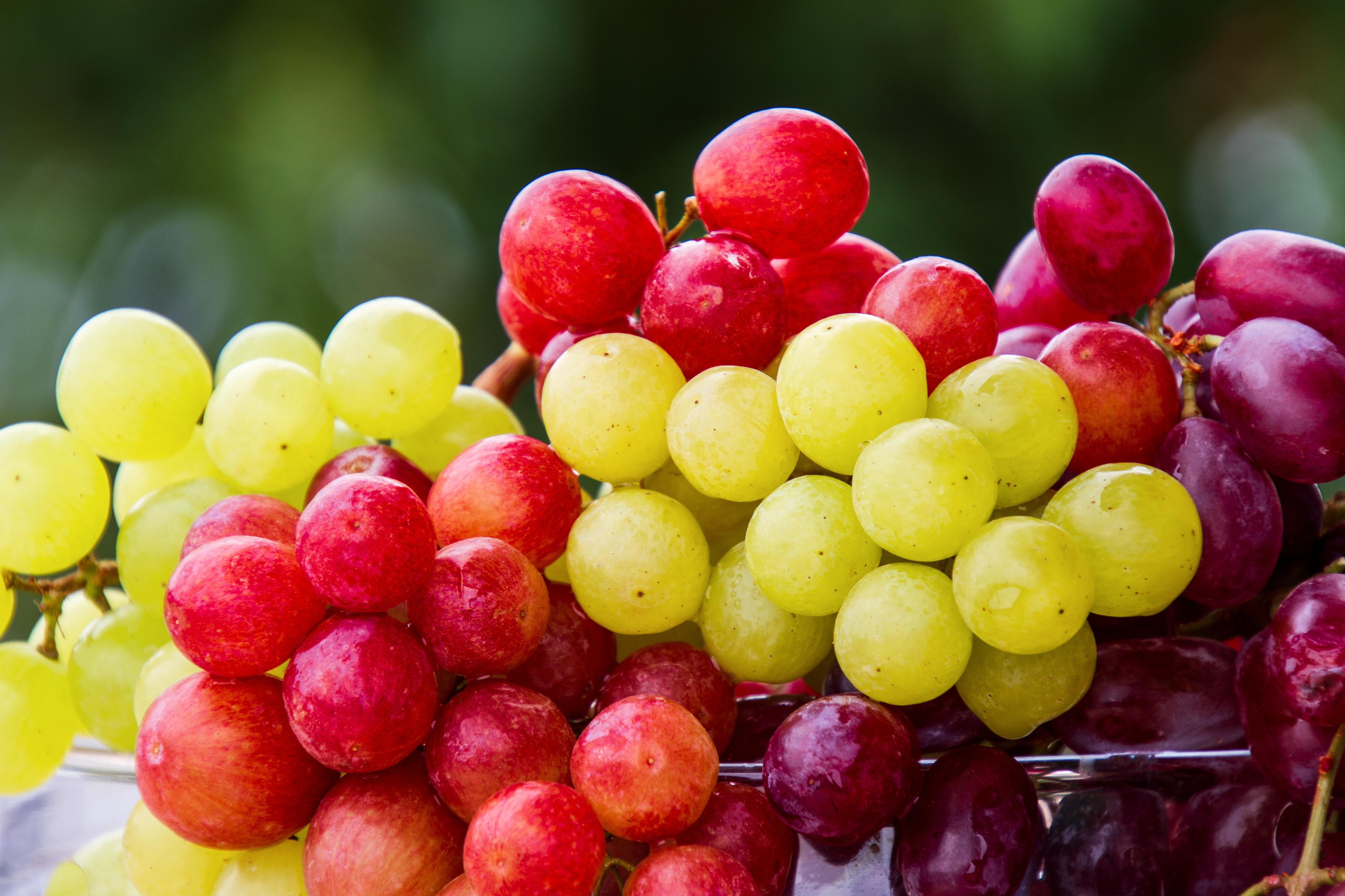 Cacho de uvas