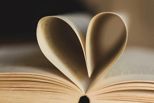 Amor em estudar historia curso