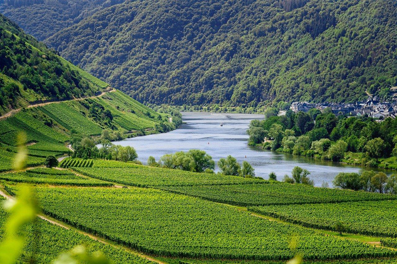 Moselle, uma cidade com árvores na Alemanha