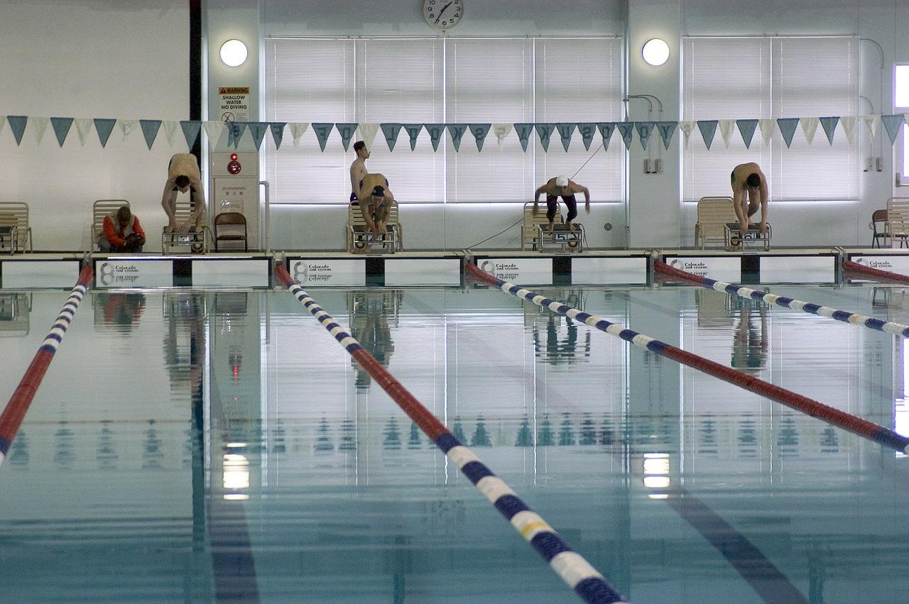 Piscina olímpica com nadadores
