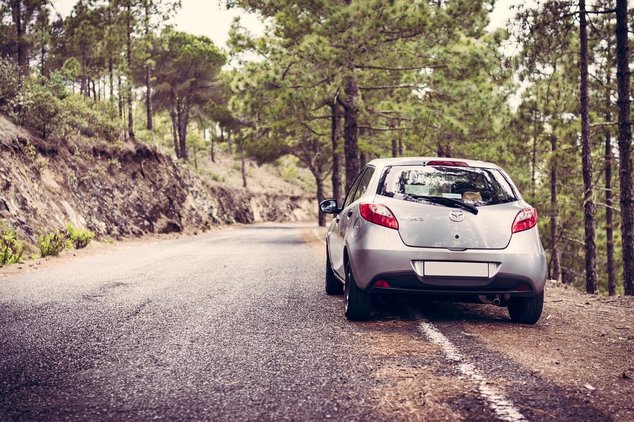 Um carro em uma estrada com árvores