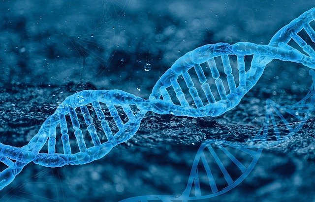 DNA com estrutura helicoidal
