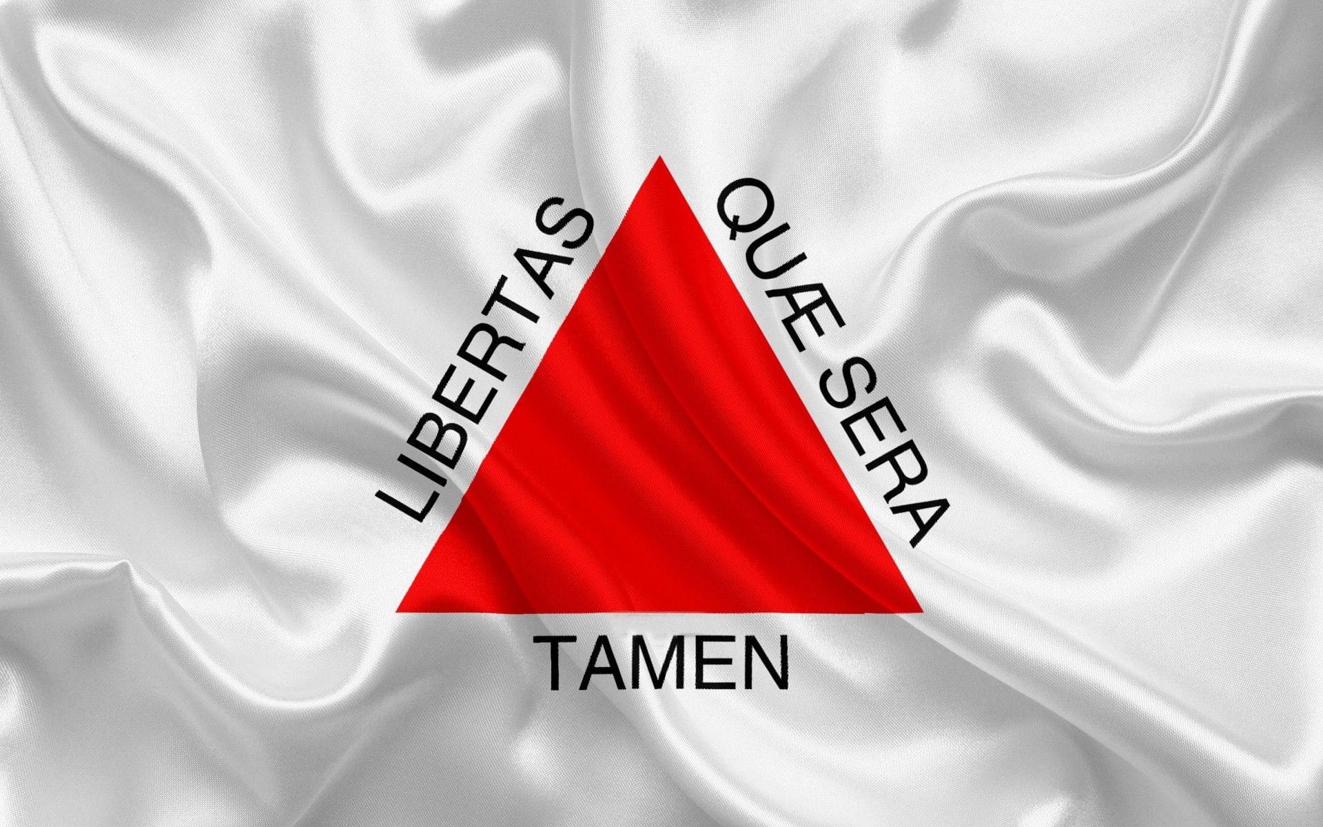 Bandeira do Estado de Minas Gerais