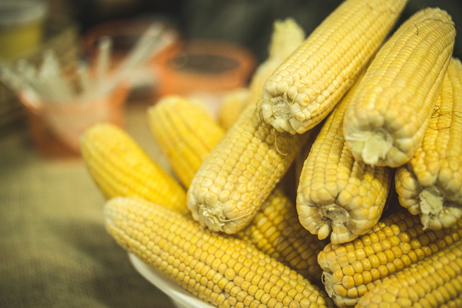 Curso de culinaria