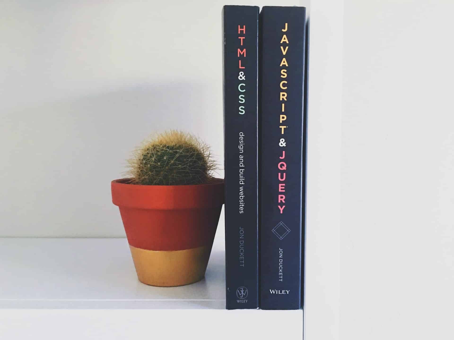 Dois livros de programação em uma estante, apoiados por um vaso de cacto.