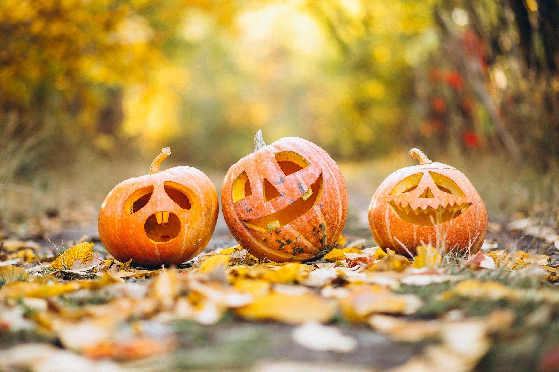 Aboboras de halloween