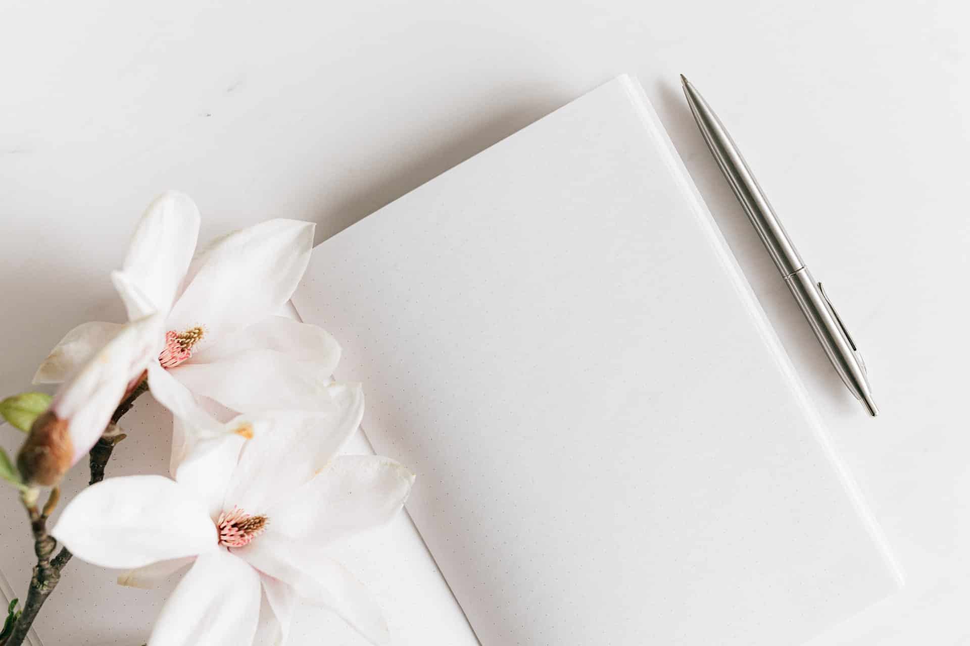 Flores brancas sobre caderno, tranquilidade de ideias.