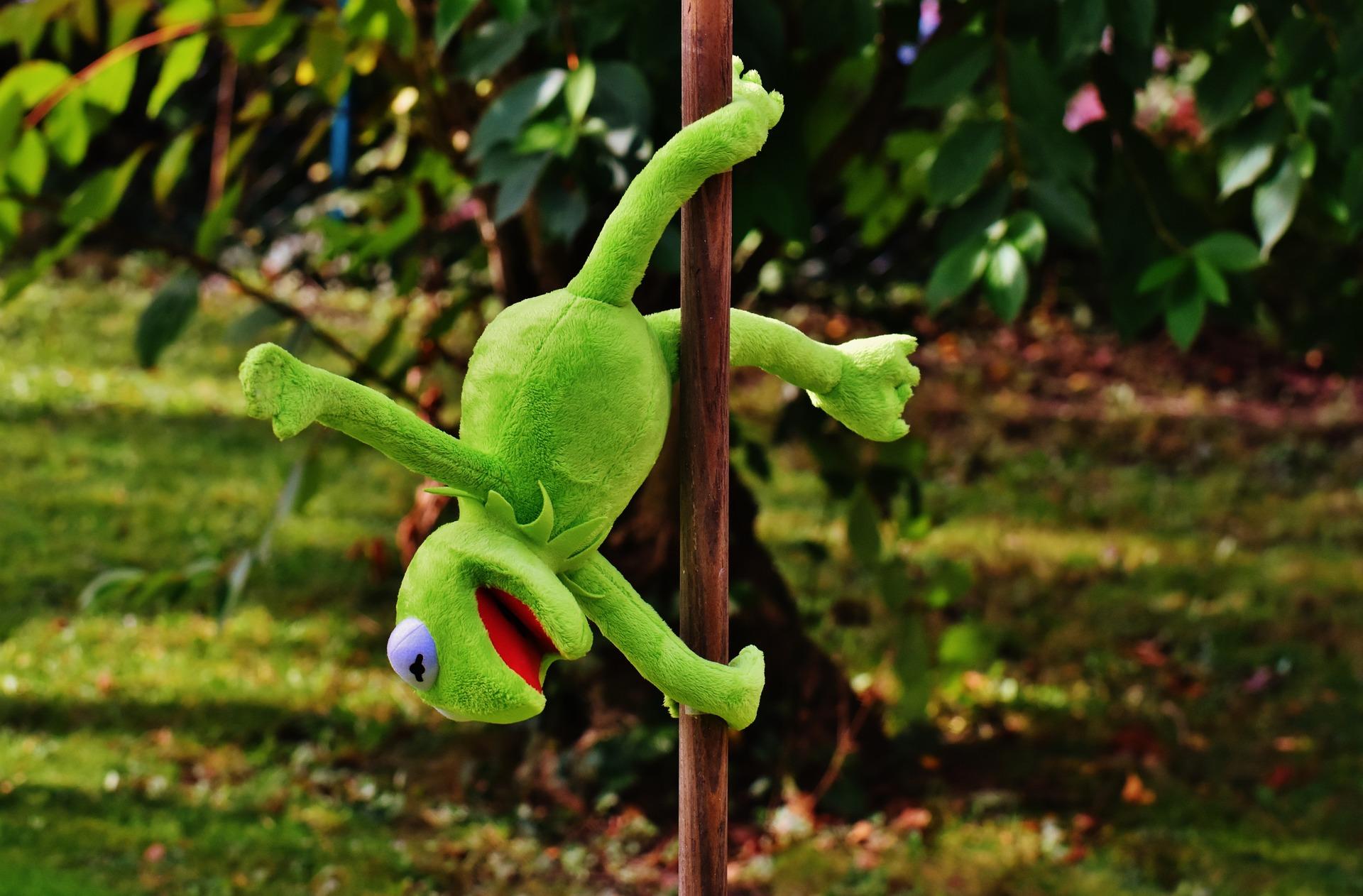 Sapo de pelúcia animado pendurado de cabeça para baixo, segurando-se com um braço e uma perna em um bambu. A cena se passa em um parque.