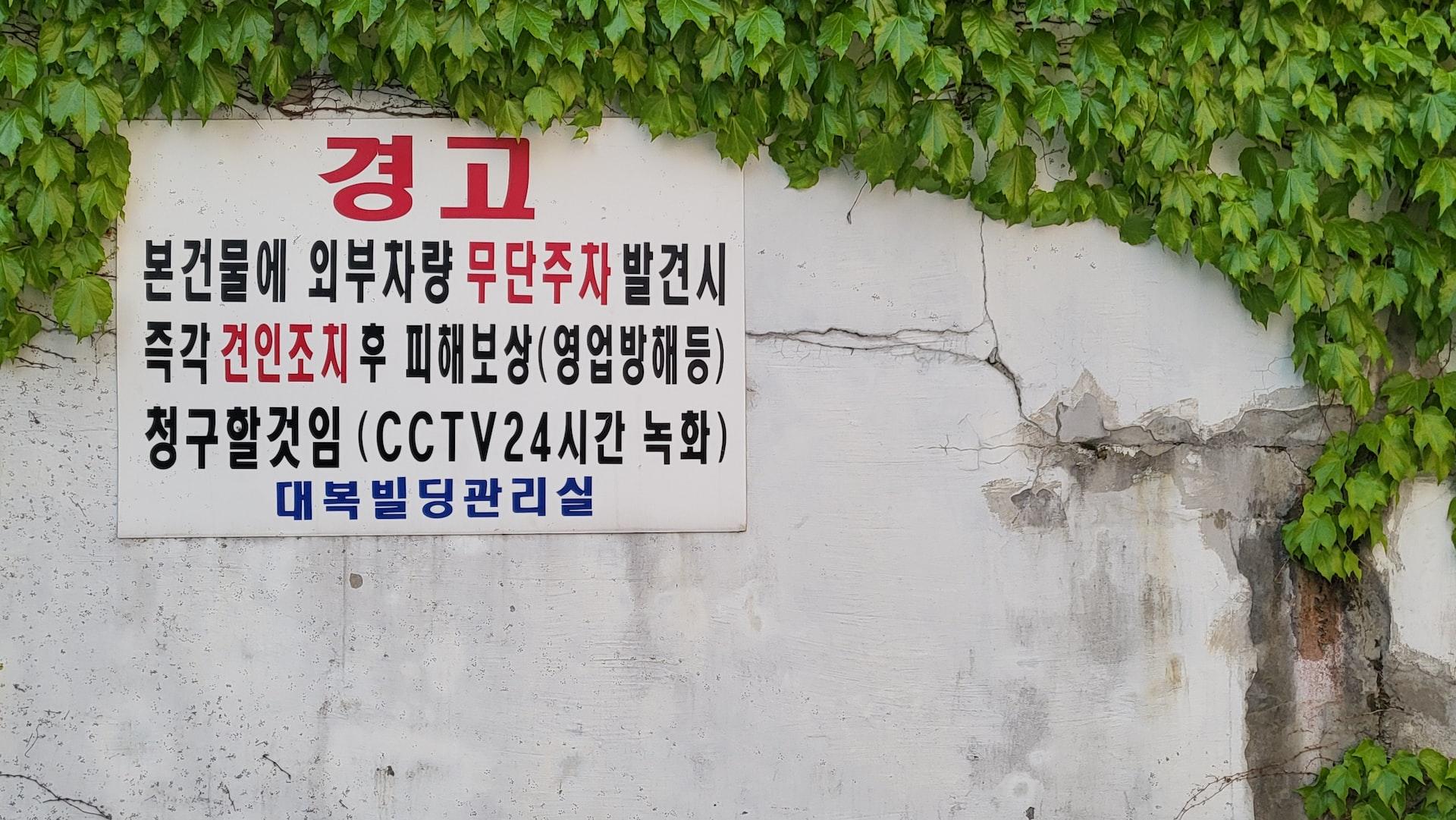 Cartaz fixado em muro branco com folhas verdes de planta no canto direito. Traz palavras em coreano nas cores preta, azul e vermelha. 