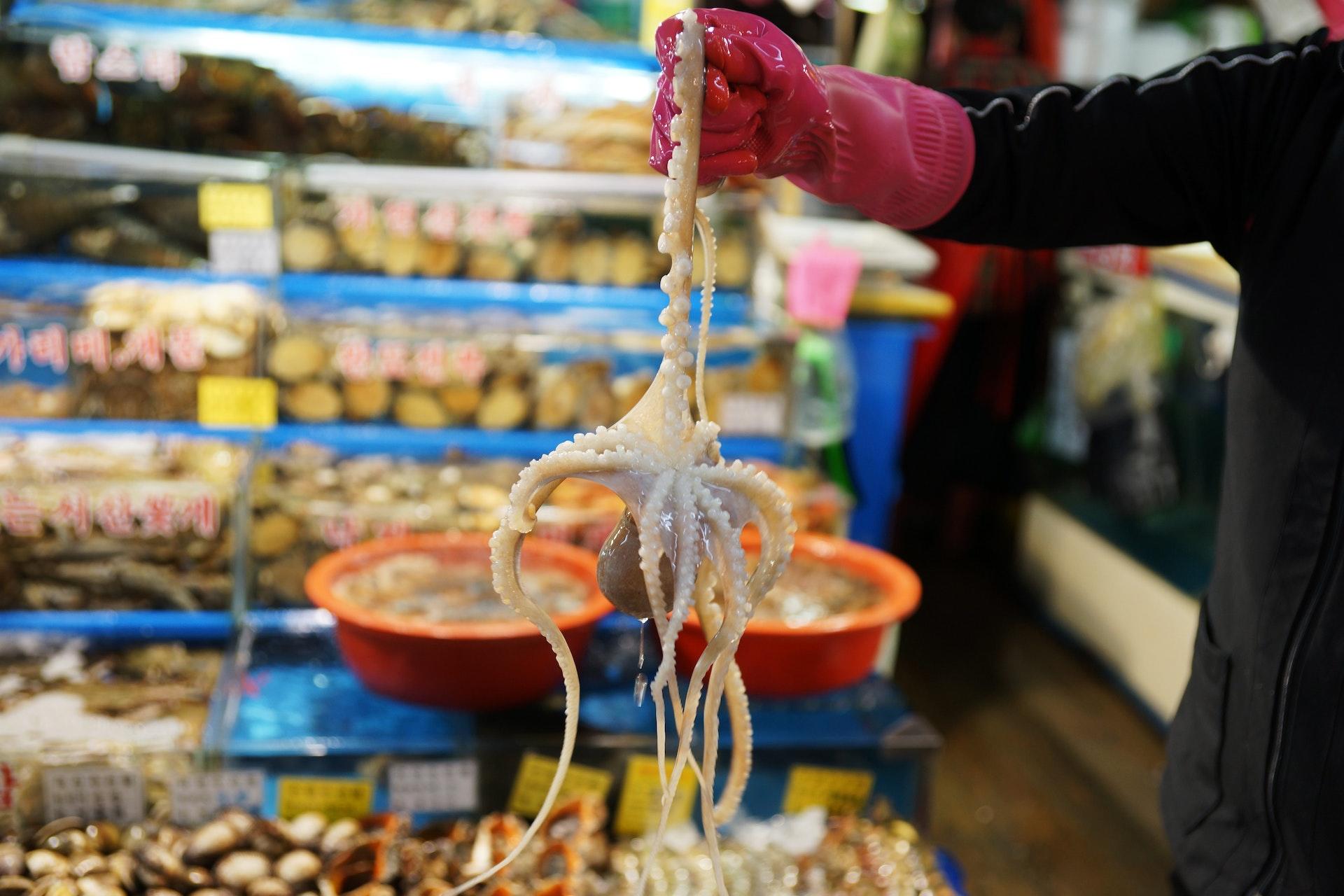 Foto de um mercado coreano, no qual é possível ver itens em uma balança à frente e diversas outras prateleiras ao fundo.