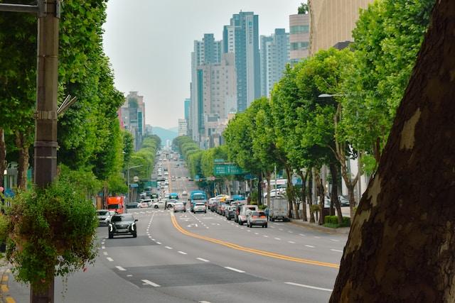 Bairro Gangnam em Seul com fundo de árvores