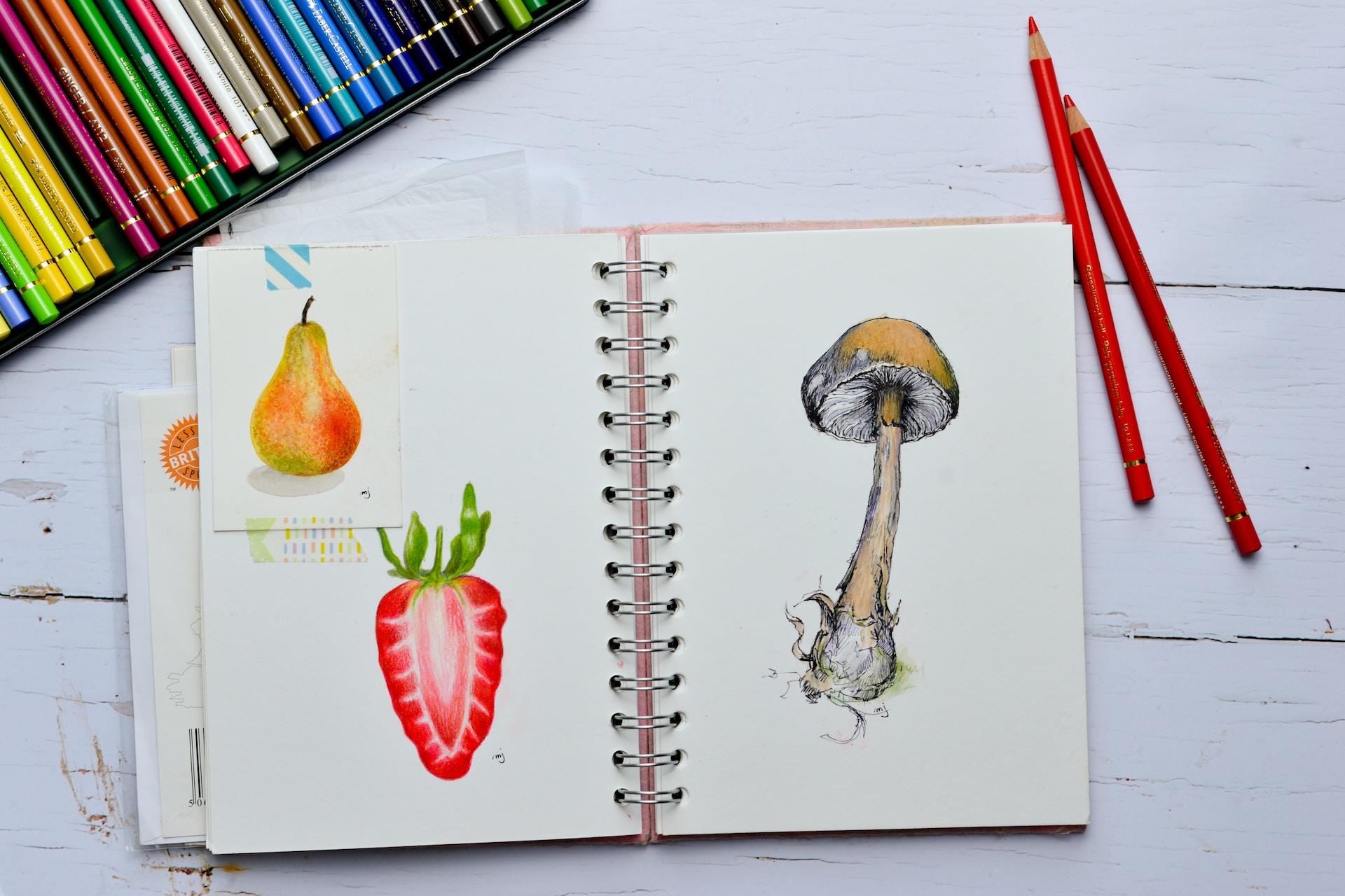 Caderno com desenhos de um morango, uma pêra e um cogumelo.