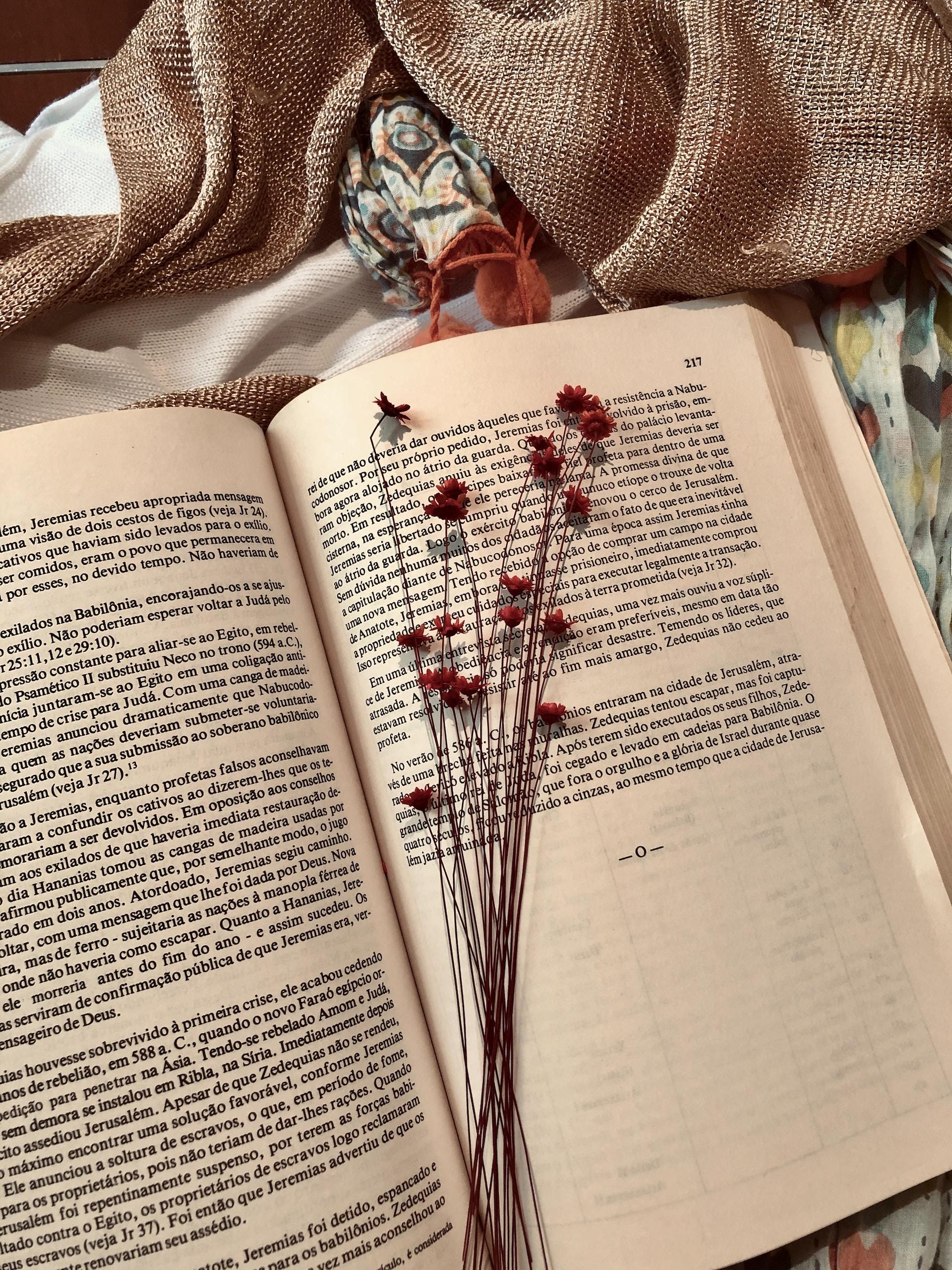 livro aberto em página escrita em português com flores por cima