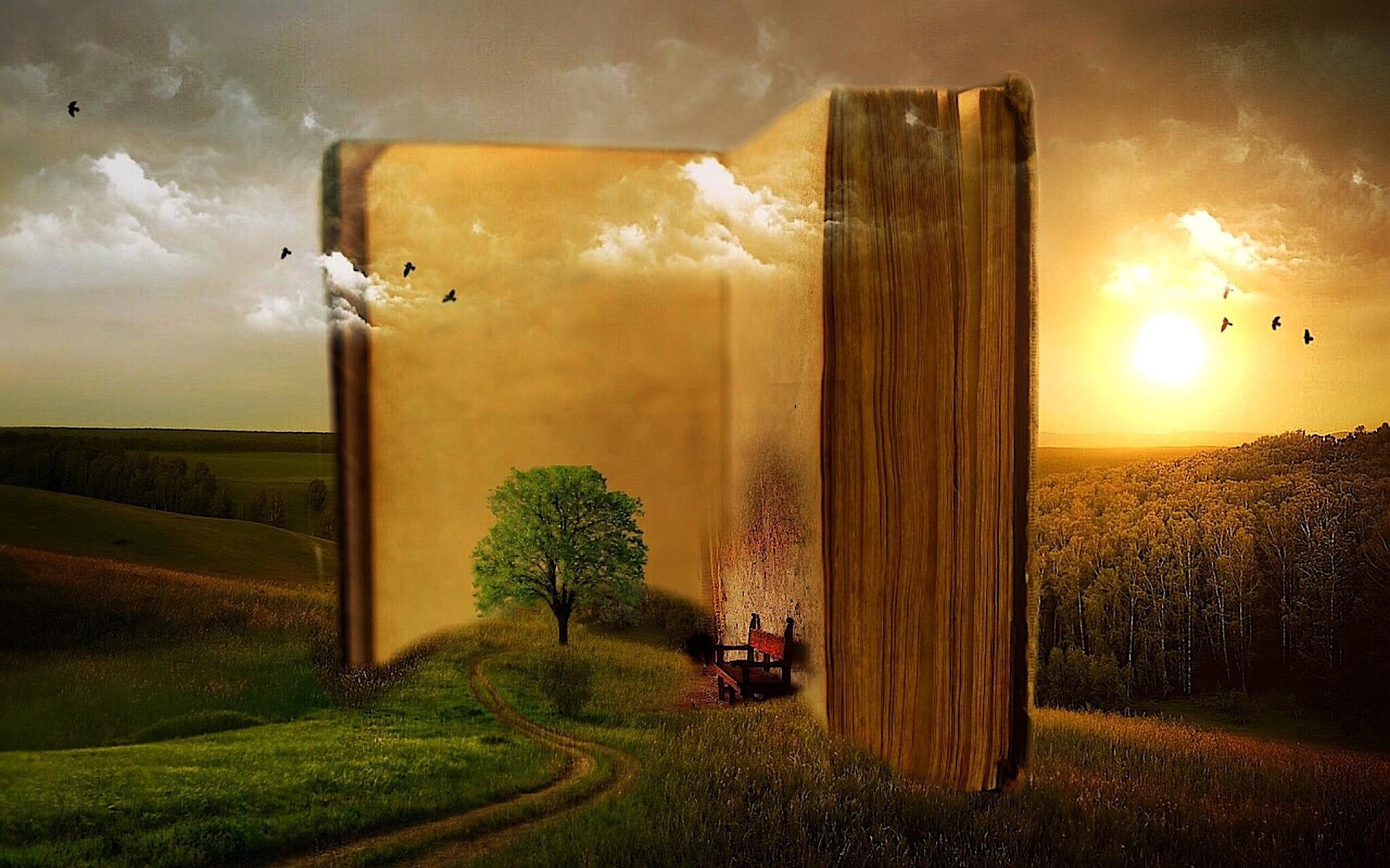 Livro com imagens dentro.