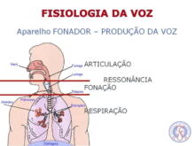 Como recuperar a voz rouca rapidamente: 7 dicas eficazes!