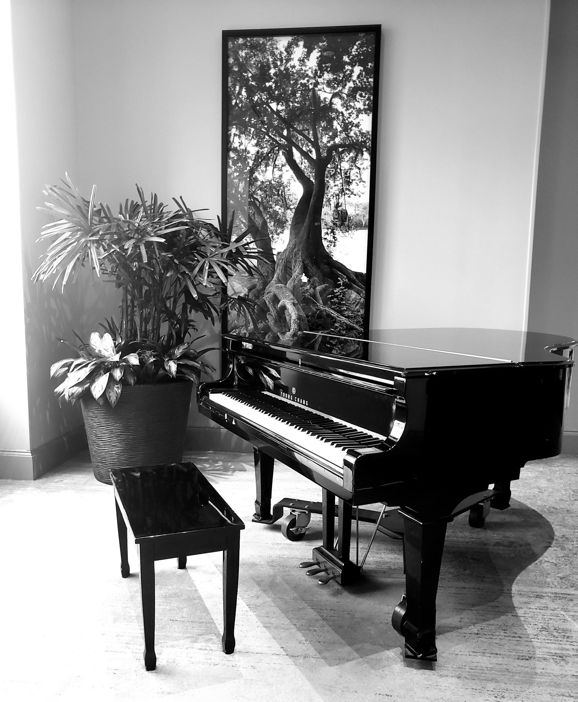 foto em preto e branco de um piano de calda com uma planta e um quadro no fundo.