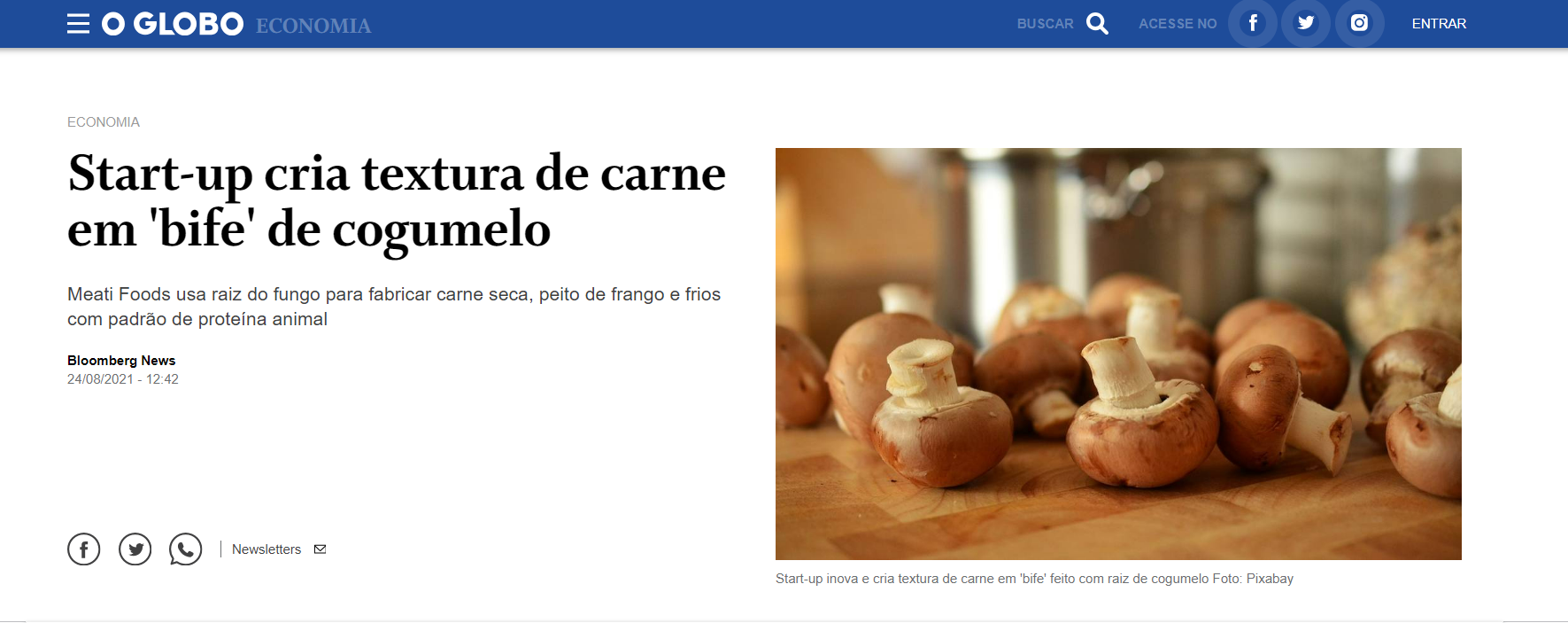 Startup cria carne baseada em plantas