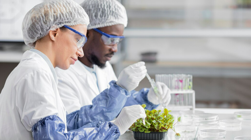 Profissionais em laboratório químico analisando alimentos