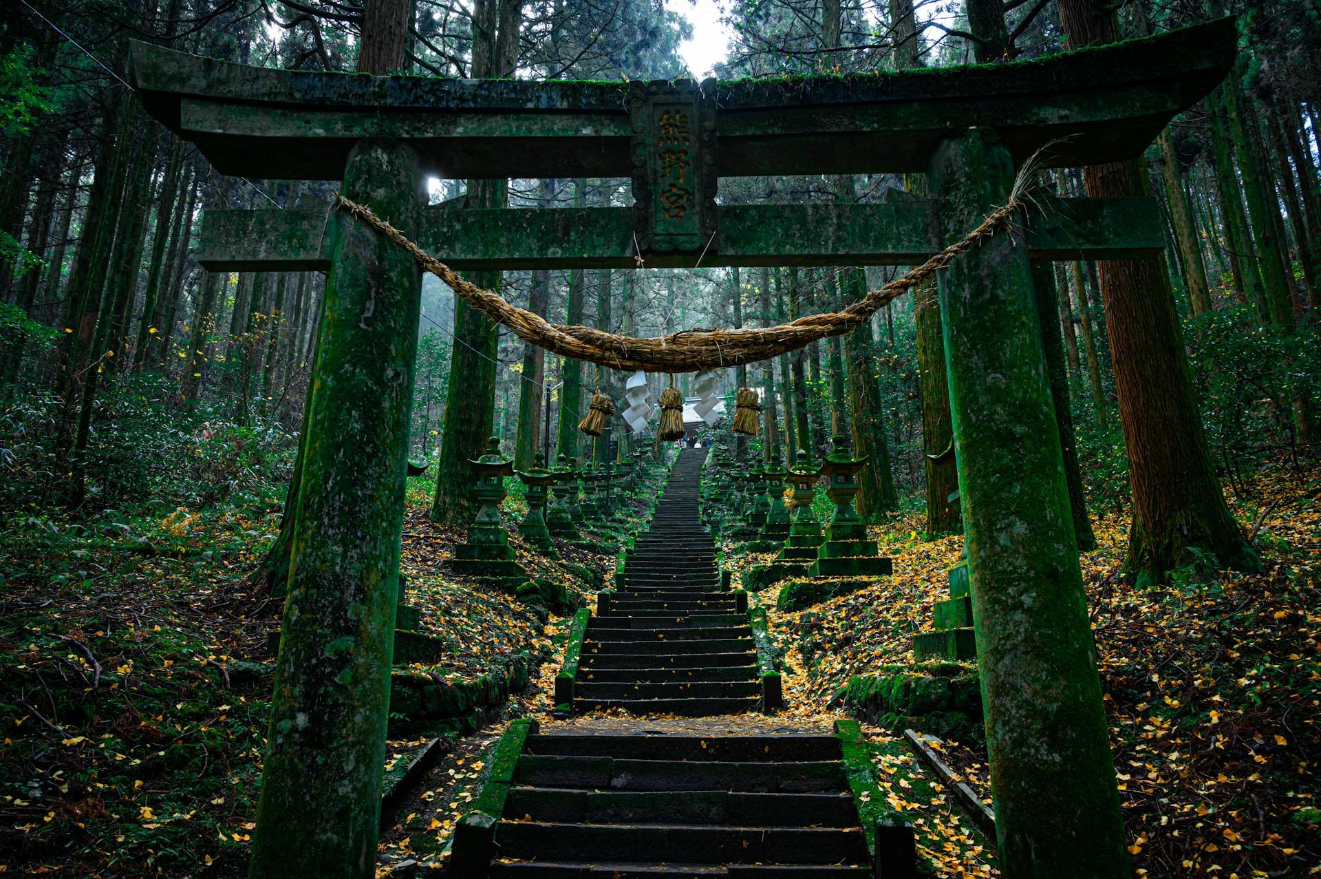 Portal em meio a natureza, no Japão, com musgos