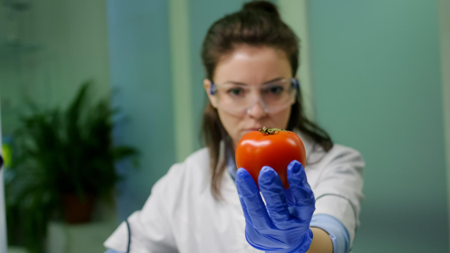 Mulher cientista dos alimentos segurando um tomate