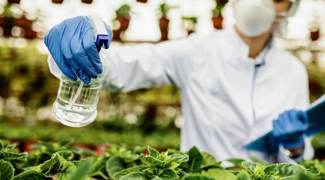 Cientista da alimentação cuidando de alimentos 